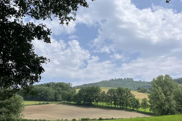 Lacets Gorilla Tribes, Image Saint Genis l'Argentière