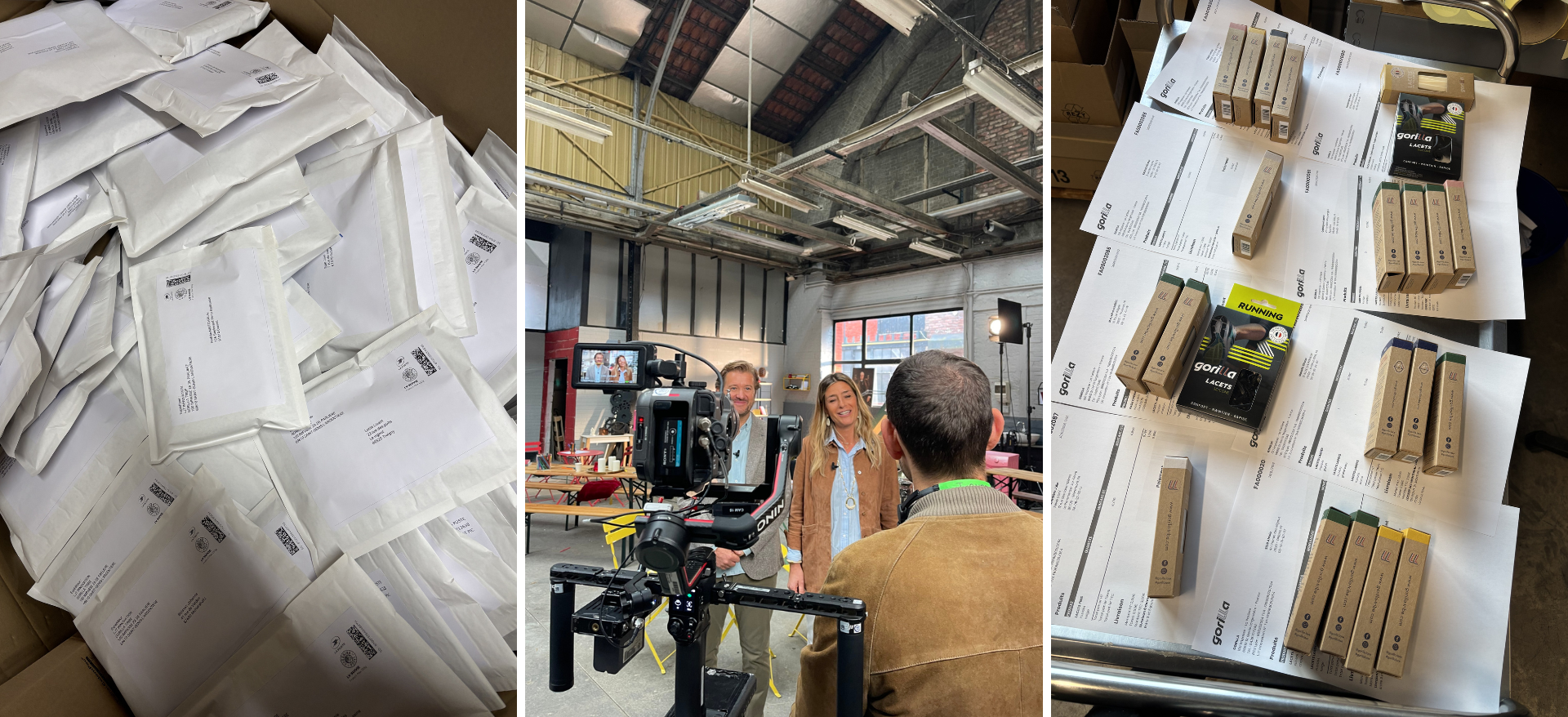 Lacets Gorilla Tribes, Gorilla sur QVEMA