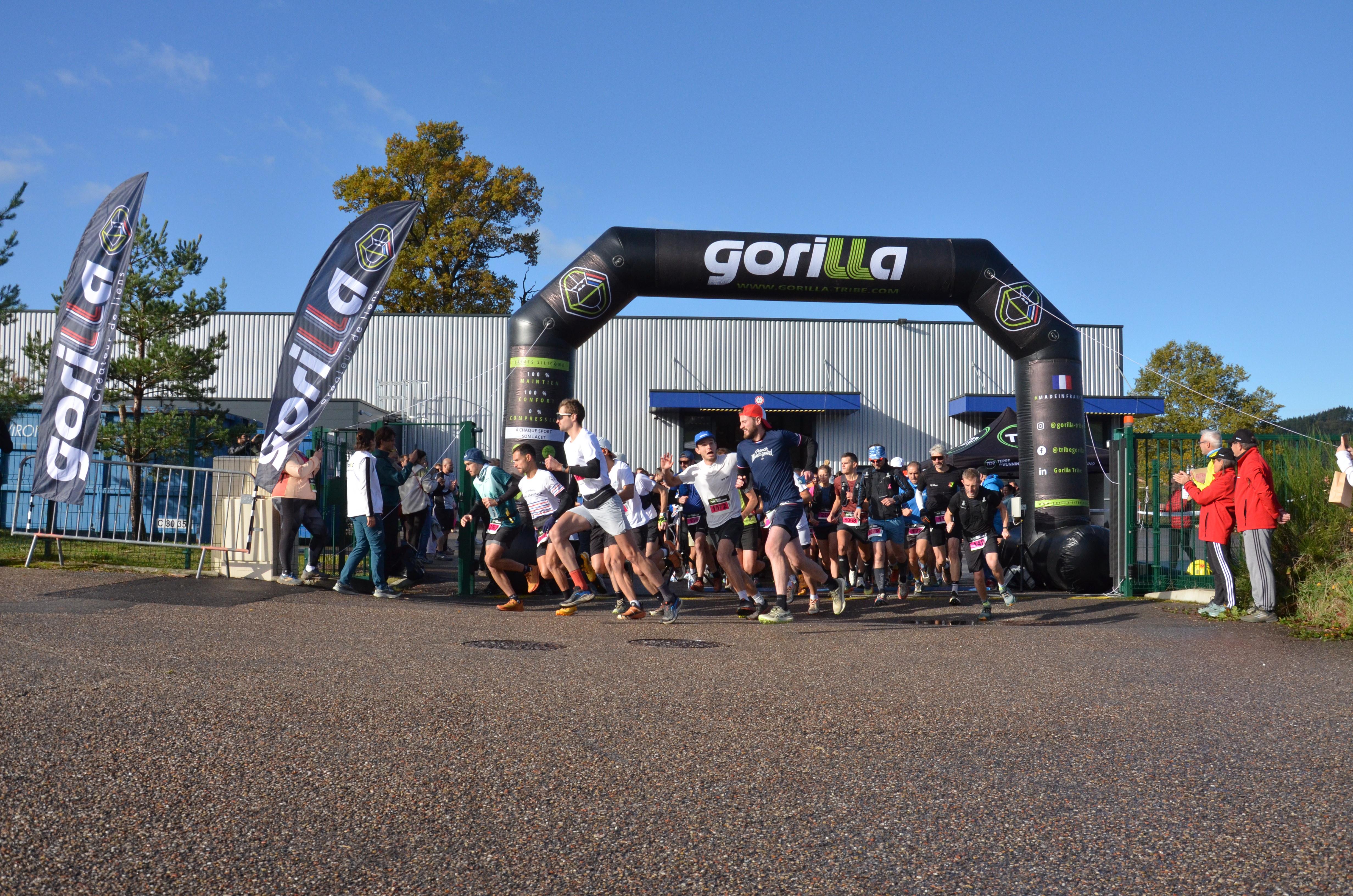 Lacets Gorilla Tribes, 2025 chez Gorilla